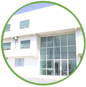 Planta Alfa Foods Monterrey Nuevo León